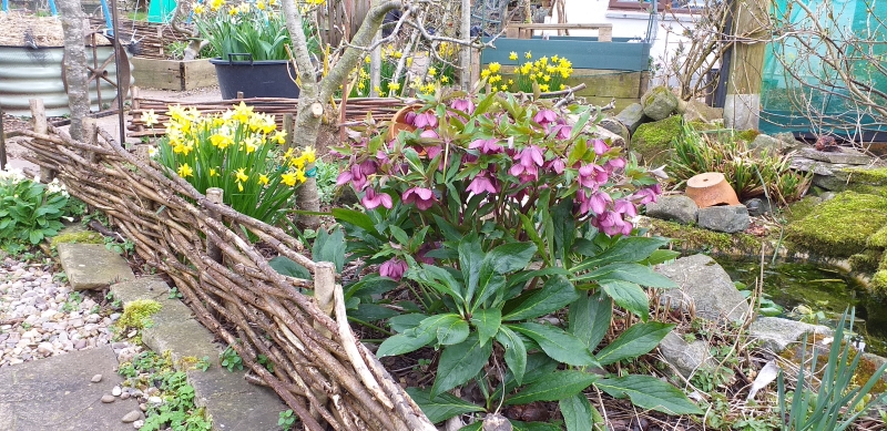 Stottesdon Village Open Gardens